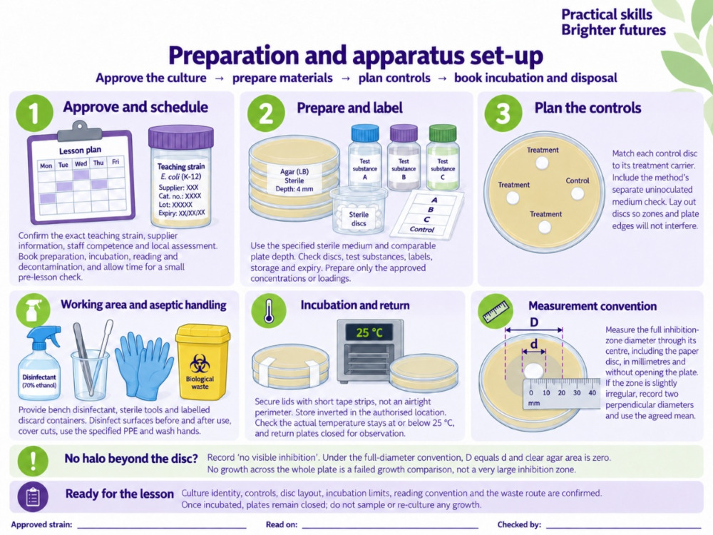 Assessment Task Example In Lesson Plan Bacterial Growth Practical: Antimicrobials | Better Equipped