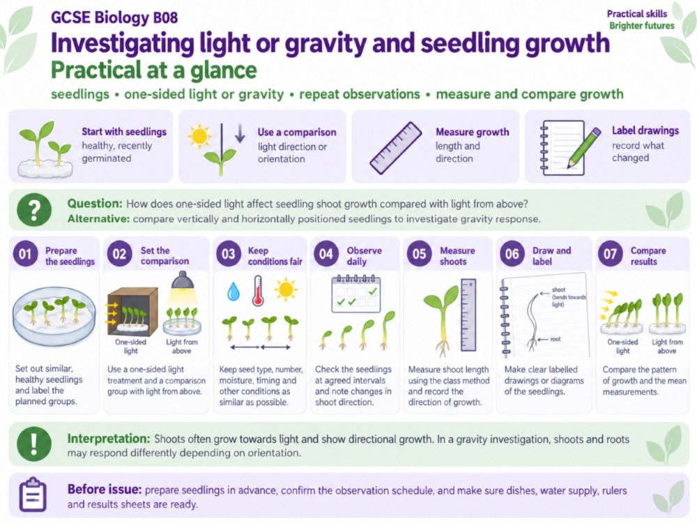 Thermometer Drawing Tutorial Plant Responses Practical: Light & Gravity | Better Equipped