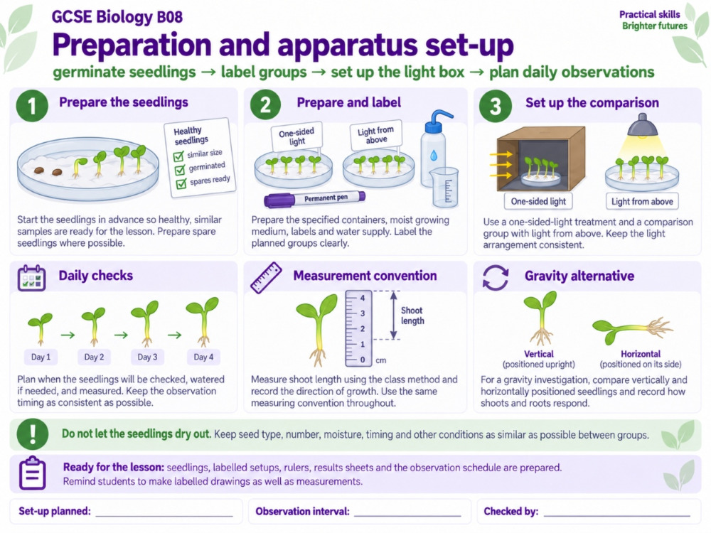 Garden Setup Example Plant Responses Practical: Light & Gravity | Better Equipped
