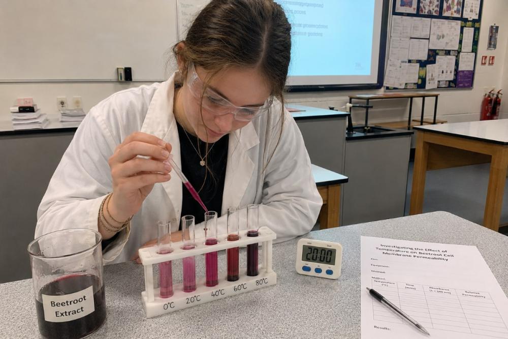 Investigating the effect of temperature on beetroot cell membrane permeability