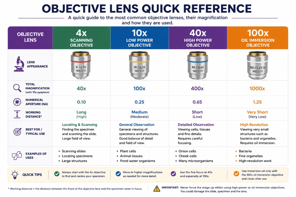 Objective lens quick reference chart showing 4x, 10x, 40x and 100x oil microscope objectives