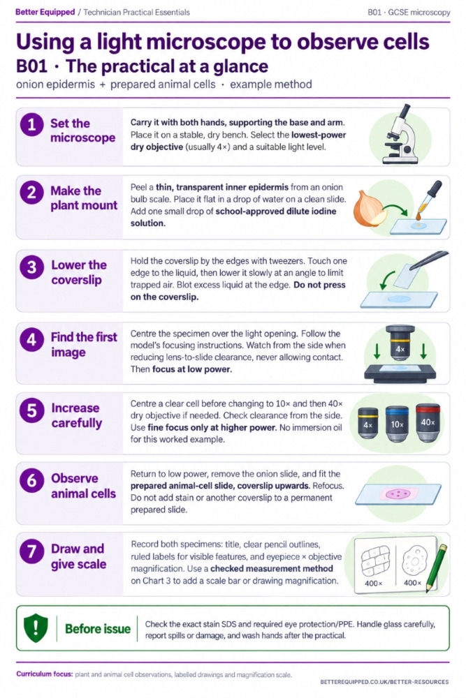 Veterinary Microscope Drawing GCSE Biology Microscopy Practical Guide | Better Equipped