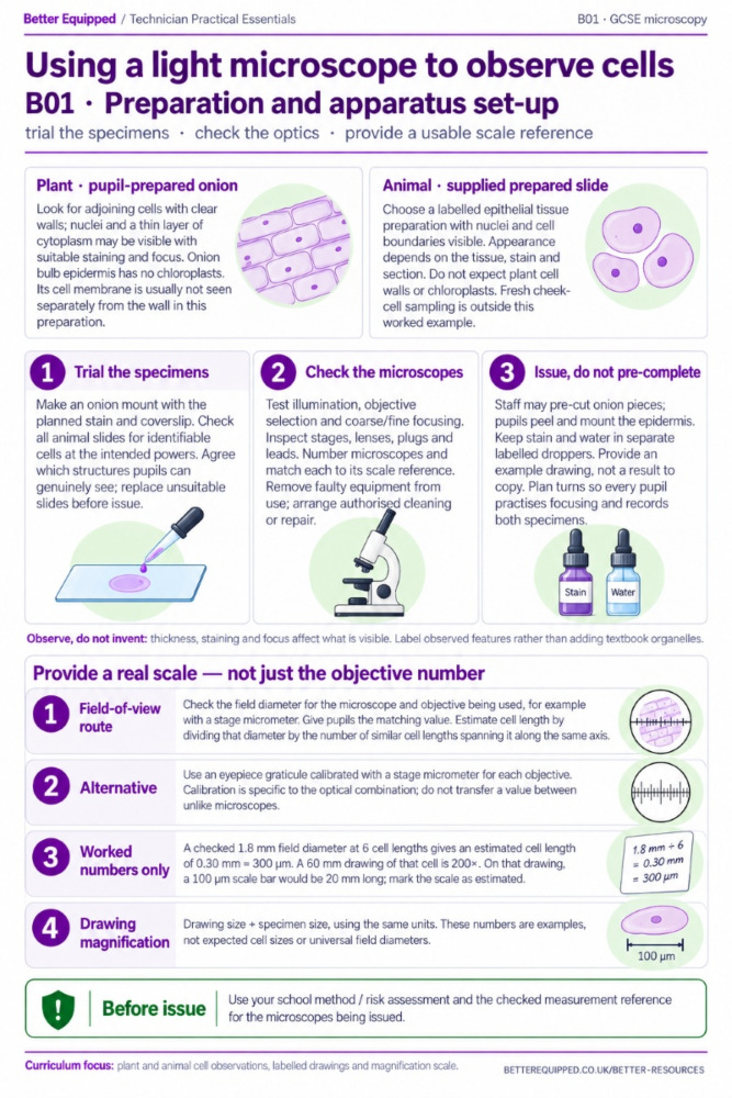 Tissue Slide Microscope Veterinary GCSE Biology Microscopy Practical Guide | Better Equipped