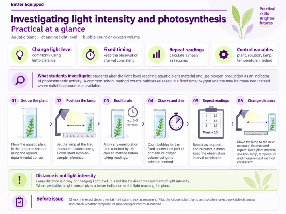 Heavy Light Activity Photosynthesis Practical: Light Intensity | Better Equipped