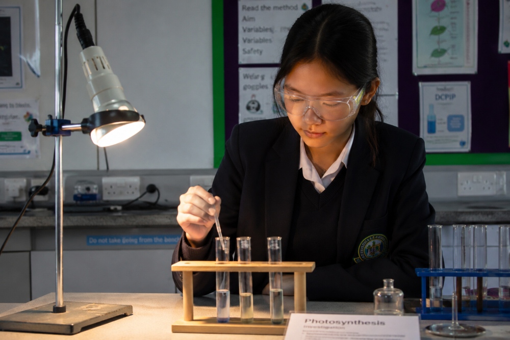 A Level Biology student investigating photosynthesis using DCPIP and chloroplast suspension