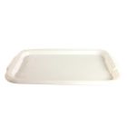 Plastic Tray 41 x 31cm