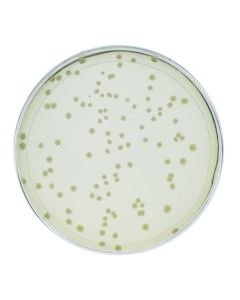 Edvotek Hack the Planet: Using CRISPR to Terraform Mars  [80236]