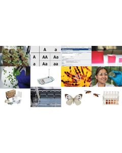 Edvotek AP Biology Package (All 13 Experiments) [80430]