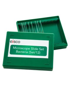 School Slide Set Bacteria - 12 Slides [80985]