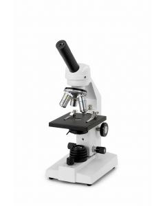 Microscope Novex Fl-100 Tungsten Bulb [2665]