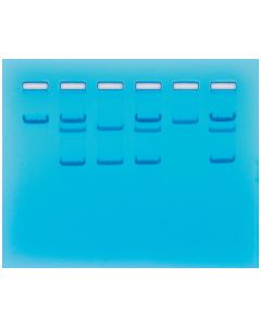 Edvotek Sickle Cell Gene Detection (DNA-based) [80161]