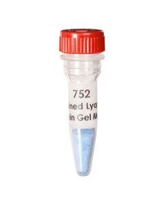 Edvotek Prestained Lyophilized Protein Gel Markers:  Molecular Weight Standards (for 20 gels) [80350]