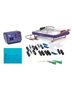Edvotek Classroom DNA Electrophoresis LabStation™ [80412]