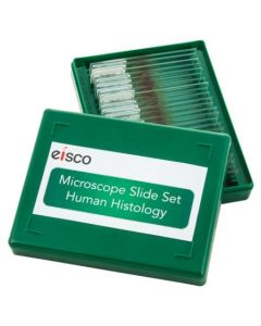 School Slide Set Human Histology - 25 Slides [80561]