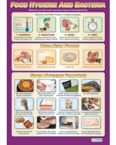 Poster - Food Hygiene and Bacteria (Laminated) [77164]
