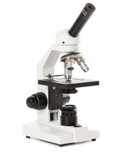 Microscope Novex Fl-100-Tungsten 600x [1981]