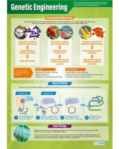 Genetic Engineering Poster A1 Laminated [3091]