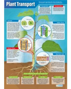 Plant Transport Poster A1 Laminated [3129]