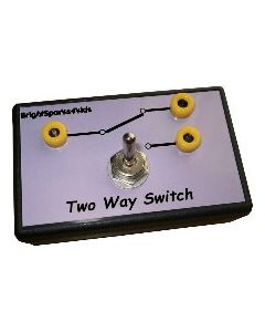 Brightsparks Two Way Switch Module [2570]